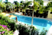 Dream in the Tropic