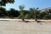 Campo de Golf